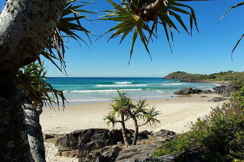Fingal Head Learn-to-Surf Day Trip From The Gold Coast Or Byron Bay - Accommodation Gladstone 4