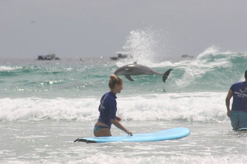 Fingal Head Learn-to-Surf Day Trip From The Gold Coast Or Byron Bay - Accommodation Gladstone 5