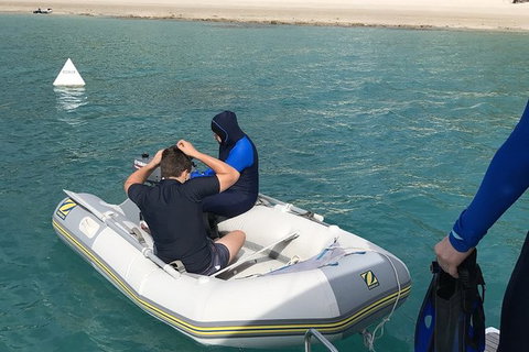 Sailing Curlew Escape On Moreton Bay - Accommodation Gladstone 16