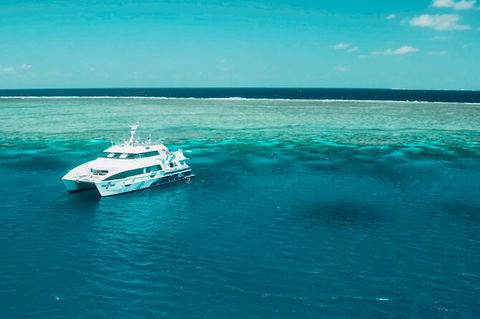 Australia East Coast: End Of Semester - Accommodation Gladstone 1