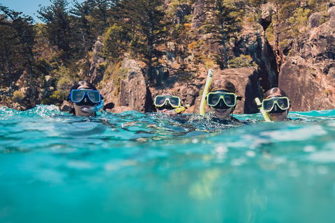 Australia East Coast: End Of Semester - Accommodation Gladstone 4