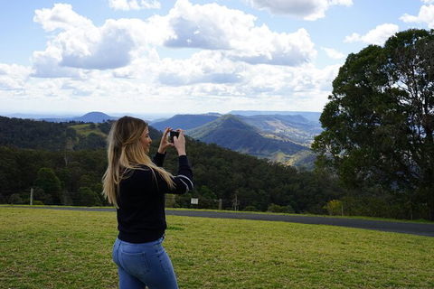 Oâ€™Reillyâ€™s Rainforest Retreat And Winery Day Tour From Nerang - Accommodation Gladstone 5