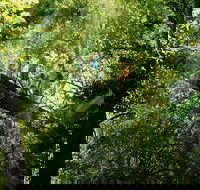 OReillys Rainforest Retreat and Winery Day Tour from Nerang - Accommodation Gladstone