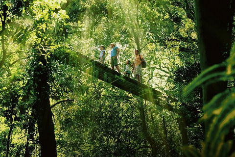 Oâ€™Reillyâ€™s Rainforest Retreat And Winery Day Tour From Nerang - Accommodation Gladstone 0