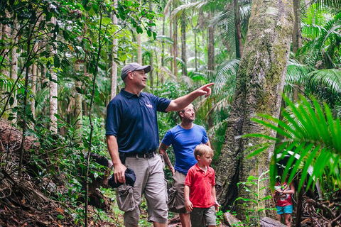 Oâ€™Reillyâ€™s Rainforest Retreat And Winery Day Tour From Nerang - Accommodation Gladstone 3