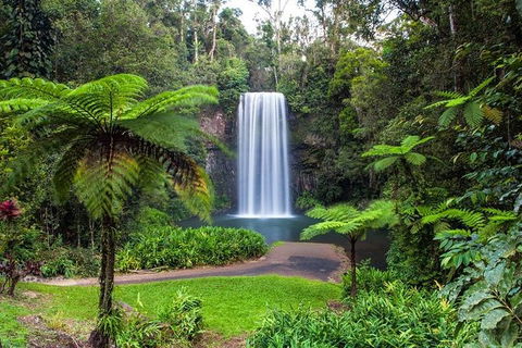 Cairns & Port Douglas All-Inclusive 7 Days Touring Package - Accommodation Gladstone 5