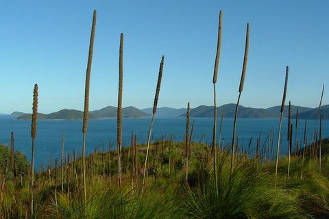 7-Day Private Sea Kayaking In Whitsundays - Accommodation Gladstone 8