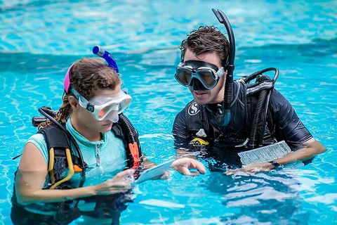 PADI Diving Courses On The Gold Coast - Accommodation Gladstone 0