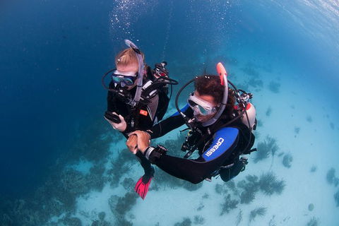 PADI Diving Courses On The Gold Coast - Accommodation Gladstone 5