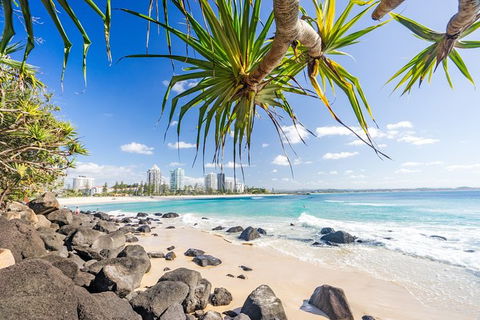 Exciting Gold Coast Diving Excursions - Accommodation Gladstone 3