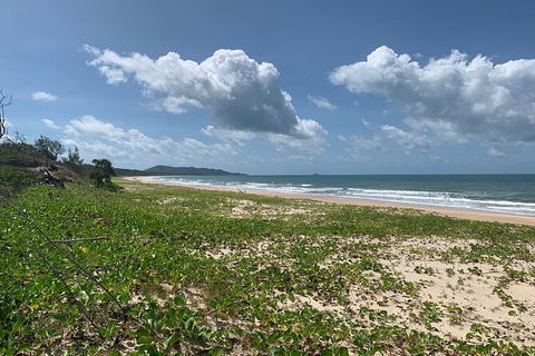 Hinchinbrook Island Tour - Accommodation Gladstone 5