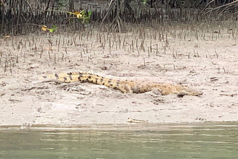 Hinchinbrook Island Tour - Accommodation Gladstone 2