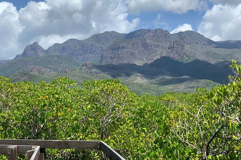 Hinchinbrook Island Tour - Accommodation Gladstone 0