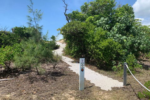 Hinchinbrook Island Tour - Accommodation Gladstone 1