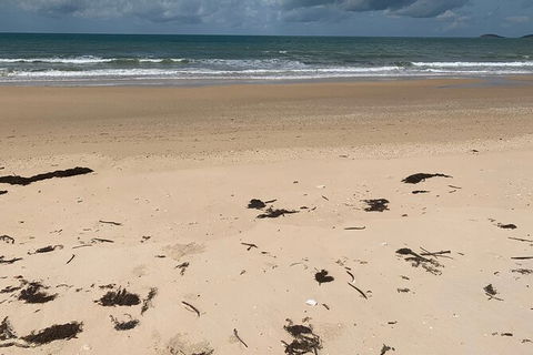 Hinchinbrook Island Tour - Accommodation Gladstone 6