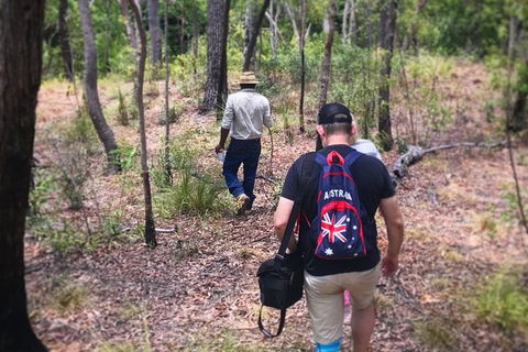 Half Day Aboriginal Rock Art Experience In Queensland - Accommodation Gladstone 5