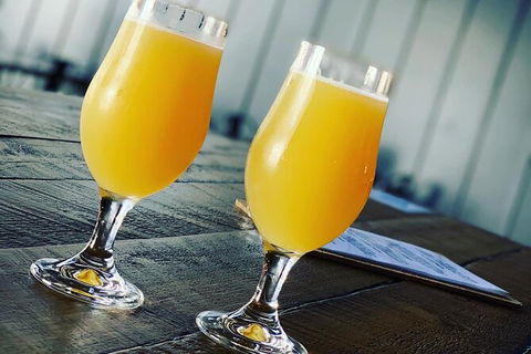 Gold Coast Suburb Sipper Brewery Tour - Accommodation Gladstone 13
