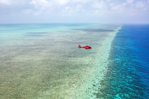 Day Tour To Kuranda, Rainforest And Port Douglas With Flight - Accommodation Gladstone 3