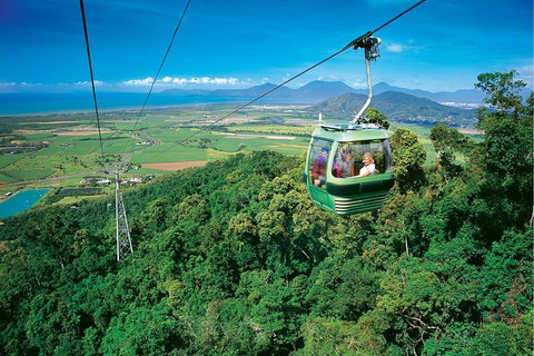 Day Tour To Kuranda, Rainforest And Port Douglas With Flight - Accommodation Gladstone 5