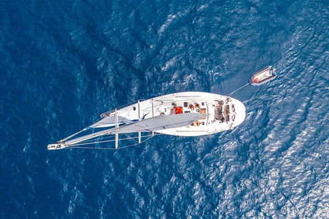 Small-Group Queensland Full-Day Sail Retreat Experience - Accommodation Gladstone 5