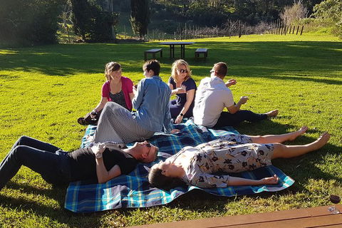 Mt Tamborine - Hinterland Wonders Self Guided - Accommodation Gladstone 1