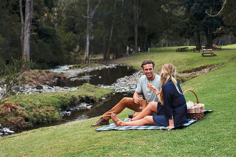 Mt Tamborine - Hinterland Wonders Self Guided - Accommodation Gladstone 0