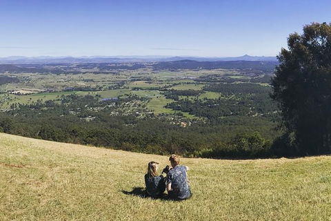 Mt Tamborine - Hinterland Wonders Self Guided - Accommodation Gladstone 2