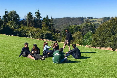 Mt Tamborine - Hinterland Wonders Self Guided - Accommodation Gladstone 7