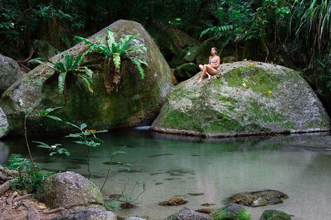 Mossman Gorge Adventure Day - Accommodation Gladstone 6