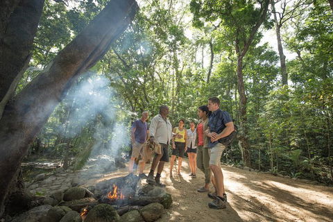 Mossman Gorge Adventure Day - Accommodation Gladstone 2