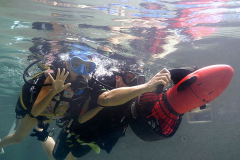 Scuba Kids- Padi Bubblemaker Course - Accommodation Gladstone 2