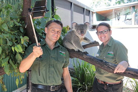 Virtual Interactive Australian Wildlife Tour With Private Guide-Wildlife Habitat - Accommodation Gladstone 4
