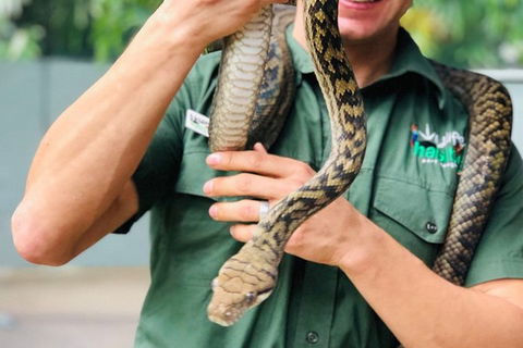 Virtual Interactive Australian Wildlife Tour With Private Guide-Wildlife Habitat - Accommodation Gladstone 3