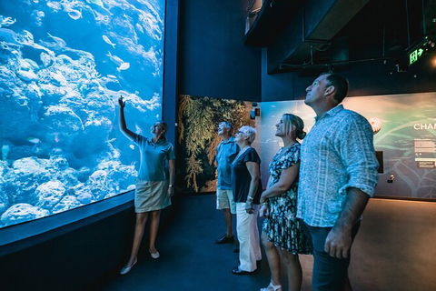 Cairns Aquarium By Twilight With 3 Course Dinner - Accommodation Gladstone 0