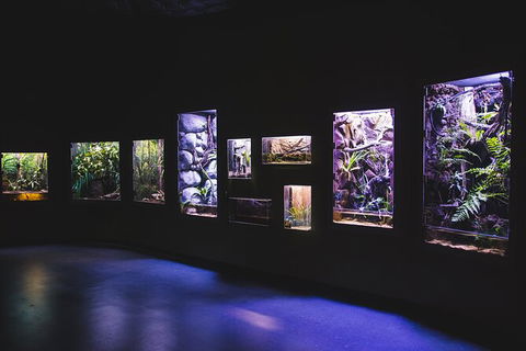Cairns Aquarium By Twilight With 3 Course Dinner - Accommodation Gladstone 3