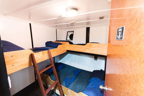2 Night Whitsunday Islands Cruise On Atlantic Clipper From Airlie Beach - Accommodation Gladstone 1
