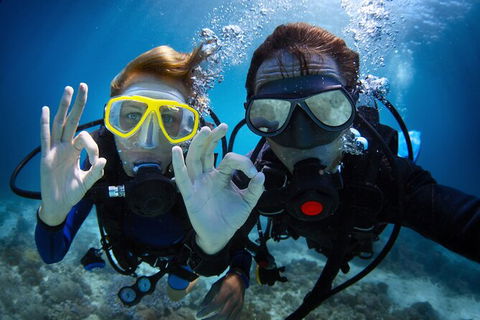 2 Night Whitsunday Islands Cruise On Atlantic Clipper From Airlie Beach - Accommodation Gladstone 4