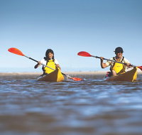 Kangaroo Island Self-Guided Kayaking on the Harriet River - Accommodation Gladstone