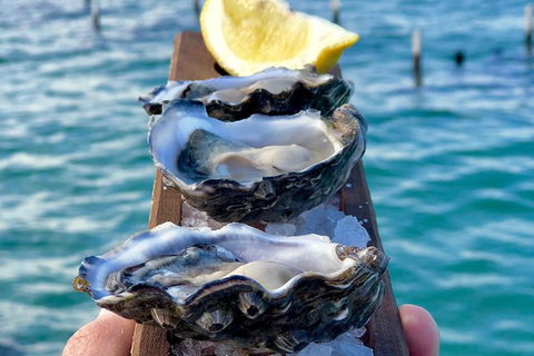 Coffin Bay Oysters, Ocean & Nature Tour - Accommodation Gladstone 0