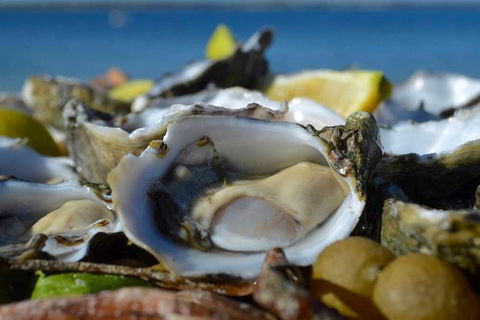Coffin Bay Oysters, Ocean & Nature Tour - Accommodation Gladstone 8