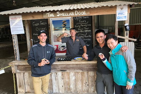Coffin Bay Oysters, Ocean & Nature Tour - Accommodation Gladstone 13