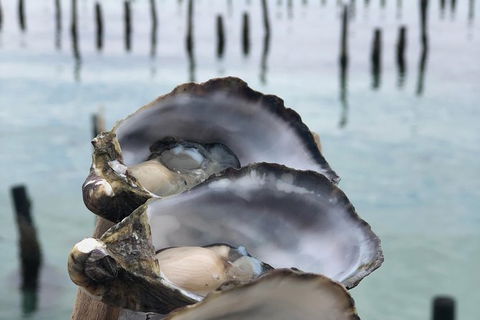 Coffin Bay Oysters, Ocean & Nature Tour - Accommodation Gladstone 6