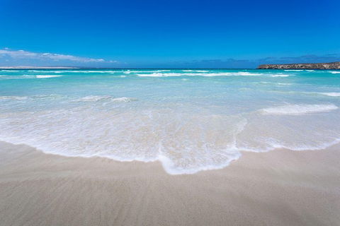 Coffin Bay Oysters, Ocean & Nature Tour - Accommodation Gladstone 14