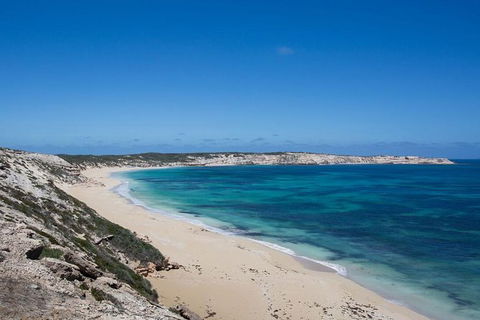 Coffin Bay Oysters, Ocean & Nature Tour - Accommodation Gladstone 16