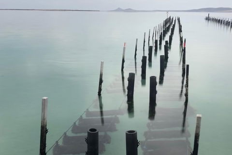Coffin Bay Oysters, Ocean & Nature Tour - Accommodation Gladstone 15