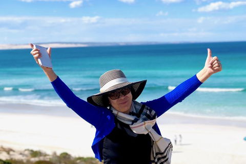 Coffin Bay Oysters, Ocean & Nature Tour - Accommodation Gladstone 11