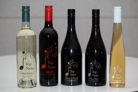 Structured Wine Tasting And Platter - Accommodation Gladstone 4