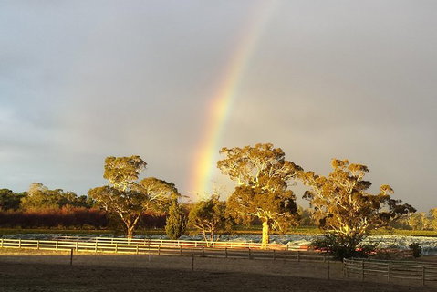 Structured Wine Tasting And Platter - Accommodation Gladstone 3