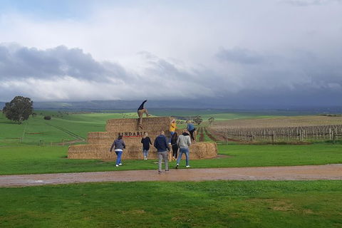 Private Wine Tour - Accommodation Gladstone 4