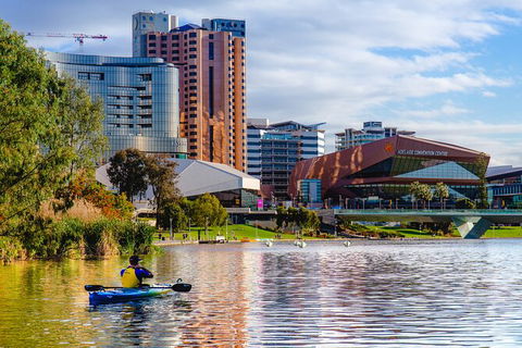 Adelaide City Kayak Tour - Accommodation Gladstone 7